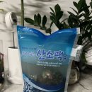 산지직송 완도 전복 무료배송까지 청용수산 전복