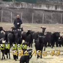 고부염소농장 이미지