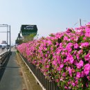 하단동1233 이미지