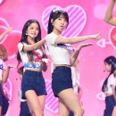 사쿠라