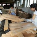 에이티아이 이미지