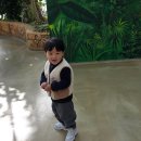 앵무새동물원 | 오산 실내 동물원 카피바라 앵무새 볼 수 있는 버드파크 할인과 주차