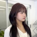 지혜샵 네이버블로그