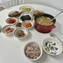 [체험단] 요리 에센스 연두로 봄향기나는 봄동 음식 만들었어요🌱