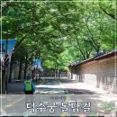 덕수궁 돌담길 정동길 초여름 풍경 서울 산책로 중구 가볼만한곳