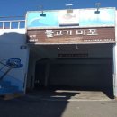 물고기 미포 이미지