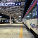 파크랜드대전유성 | 내일로 KTX 국내기차여행 꿀팁 :: 금요일 퇴근 후 떠나는 3박 4일 낭만여행 코스