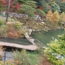 조영석행정사 이미지