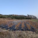 나눔농장 이미지