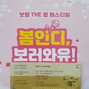 봄 인디, 보러와유 | 봄인디 보러와유 글렌체크 / 데이브레이크