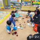 임광어린이집 Daum카페