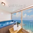 갈매기 나는꿈 펜션 | 갈매기나는꿈 가봤는데 정말 감동적이었어