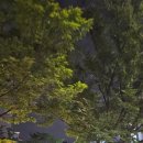 신남노래연습장 이미지