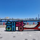 묵호역 Daum카페