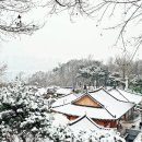 하얀풍경 이미지