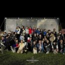 도그시티 이미지