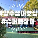 슈퍼맨장어 이미지