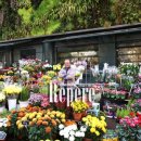 지상낙원 이미지