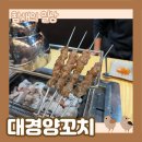 평택 서부역 양꼬치 추천 &#39;대경양꼬치&#39; 간이 세지 않은 집!