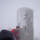 기를품은 이미지