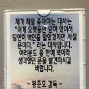 로미 앤 줄리 이미지