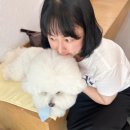 신중로 네이버블로그