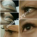 코델리아토탈뷰티샵 이미지