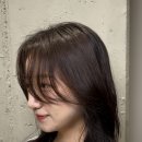 더모던화이불치
