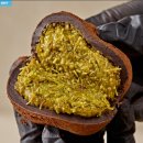 중동정미소 이미지