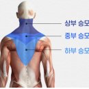 시민생활체육관 이미지