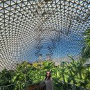 대기에너지(주) | 거제도여행지로 거제 식물원 정글돔 정글타워를 가볼만한곳으로 추천하는 솔직 후기