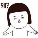 제주앤투어 이미지