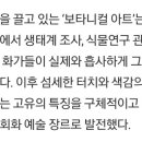 보타니컬화 이미지