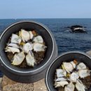 명진 | 제주 구좌 맛집 제주 명진전복 내돈내산 솔직후기(추천•메뉴•가격•주차•총정리)