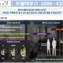 판교명당 이미지