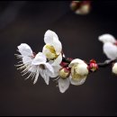 유장농장 이미지