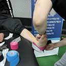 카파체대입시수지교육원