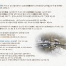 순천-42호 | 송광사(전남 순천시) – 한국 불교의 중심지, 고즈넉한 분위기