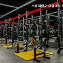 에스휘트니스 이미지