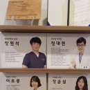 이든펫 이미지