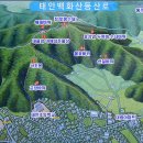 태안신발