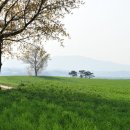 고삼목장 이미지