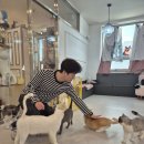 사분의삼