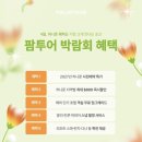 W8. 신혼여행 정하기 / 팜투어 신혼여행 계약 후기 (2027년 하와이 허니문 예정)