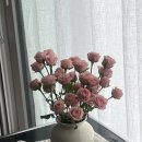 여름은 이제 보내주는 일상 w/ 르메르 플래그십, 서재페 후기, 크레타마켓 털이범, 에토스 SUMMER 팝업