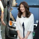 오스트리치