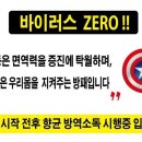 세계효태권도