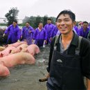 홍수농장 이미지