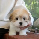 연제구-045 이미지