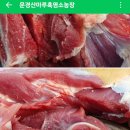 산마루흑염소 이미지